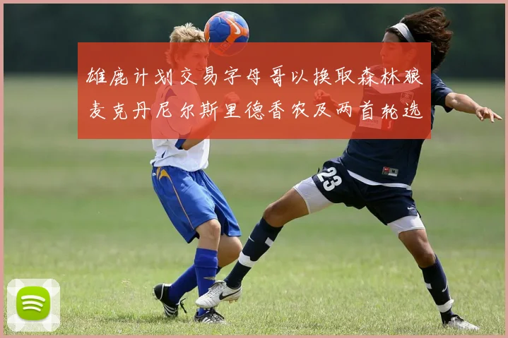 雄鹿计划交易字母哥以换取森林狼麦克丹尼尔斯里德香农及两首轮选秀权