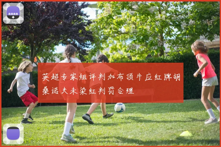 英超专家组评判加布顶牛应红牌胡桑诺夫未染红判罚合理